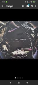 Silver moth