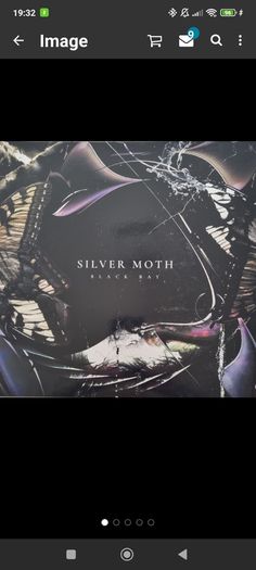 Silver moth