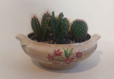 Lovely Arklow Pottery Tureen with Cacti Garden - A Fabulous Unique and Decorative Item for Display Indoors