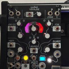 Make Noise Morphagene