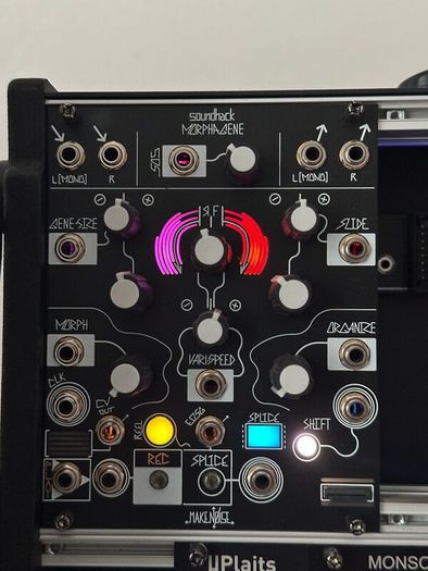 Make Noise Morphagene