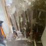 scaffolding Image 4