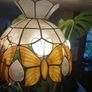 Mother of Pearl butterfly Light Image 2