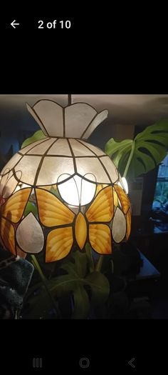Mother of Pearl butterfly Light