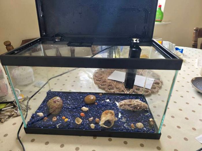 Fish Tank  Aquarium