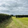 Hege Cutting and Flail Shredding Kildare Image 5