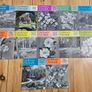 Vintage Gardeners Chronicle Magazine x 42 (1960s) - Vintage Gardening Magazines Image 3