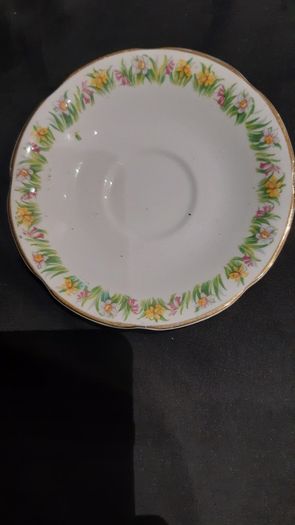 Regina/Royal Tara Tea Set 21 piece teaset