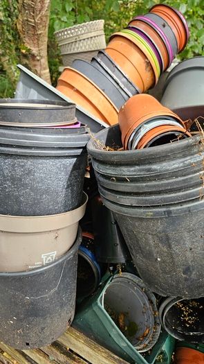 Free Plant Pots