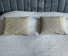 Pair of matching grey Rocha John Rocha cushions