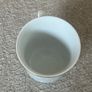 Vintage Czechoslovakian Doctor Bolito Porcelain Mug Image 5