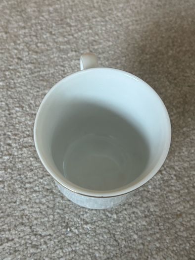 Vintage Czechoslovakian Doctor Bolito Porcelain Mug