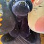 Teddies Image 6