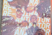 Everything Everything Re-animator clear vinyl lp