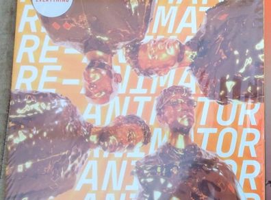 Everything Everything Re-animator clear vinyl lp