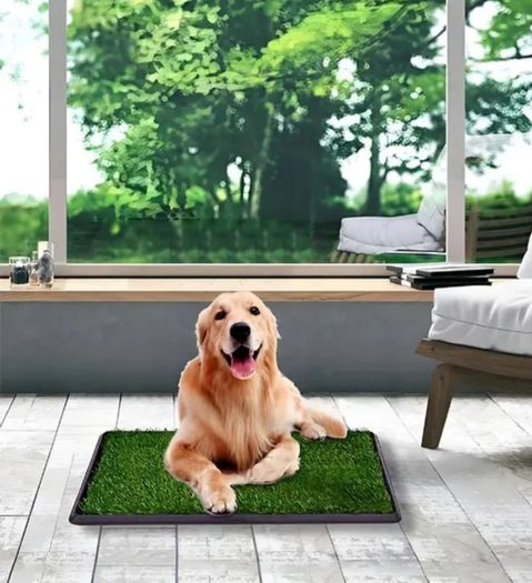 Puppy training pad