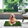 Puppy training pad Image 5
