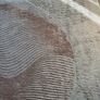 Ez living rug Image 5