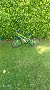 Boys bike