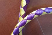 4ft (120cm) dog leash yellow&amp;purple.