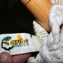 Large Caribbean Hammock Chair Image 4