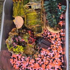 Fish tank accessories