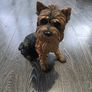 Yorkshire Terrier statue Dogs Studio 2001 Image 2