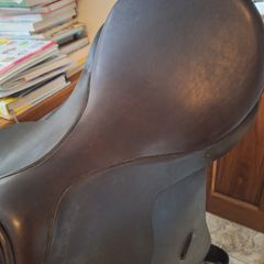 Berneys saddle 17.5