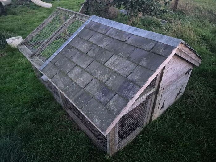 Chicken Coop, Rabbit Hutch