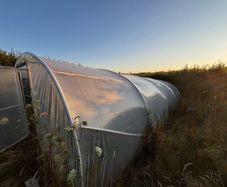 Poly tunnel 8x4.5