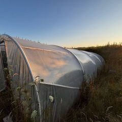 Poly tunnel 8x4.5