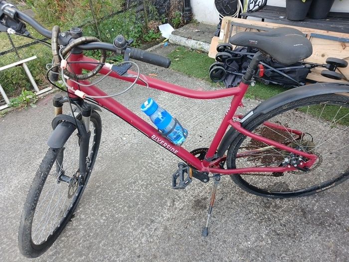 ladies bike