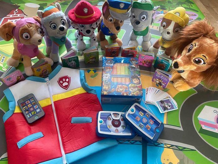 Paw patrol full kit out