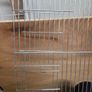 bird cage fronts Image 2