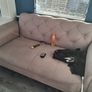 Sofa Image 3