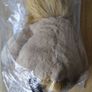 GOSH! Lion softie 30cm Image 2