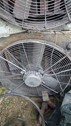 fan
