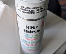 Ninja Thirsti 530 ml Travel Bottle