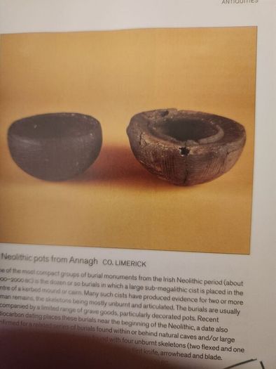 A Guide To The  National Museum Of Ireland. By Patrick   F. Wallace. Paperback In Good Condition.
