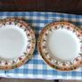 Arklow Pottery Alton Range 812.   22 Pieces Image 7