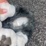 interactive dog Image 3