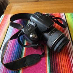 Sony A390