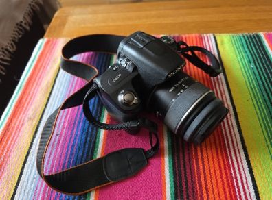 Sony A390