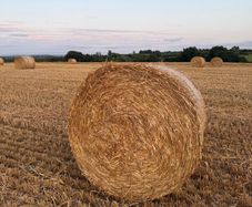 Straw