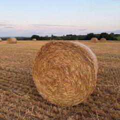 Straw