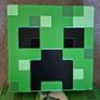 Minecraft Creeper costume Image 3