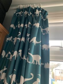 Dinosaur curtains
