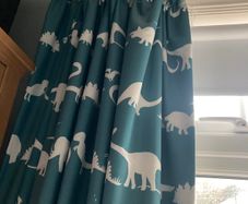 Dinosaur curtains
