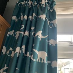 Dinosaur curtains