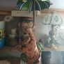 1970s Ceramic Hanging Clown Image 9